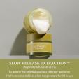  I'm from MUGWORT CREAM 50 G