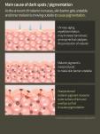 Anua Vitamin C 20 Blemish Serum 20g renewal