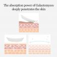  Mixsoon Galactomyces Toner Pad [280ml*60ea]