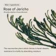 Abib Jericho Rose Bifida Serum Firming Drop 50ml