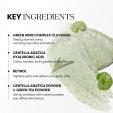 VT COSMETICS CICA Mask Cleanser 