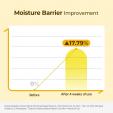 Torriden SOLID-IN Ceramide Cream 70ml 
