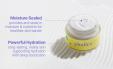  PLODICA Water-Bag Barrier Cream 