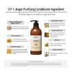 CP-1 Ginger Purifying Conditioner 100ml 