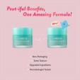 Laneige Lip Sleeping Mask EX [Mint Choco]